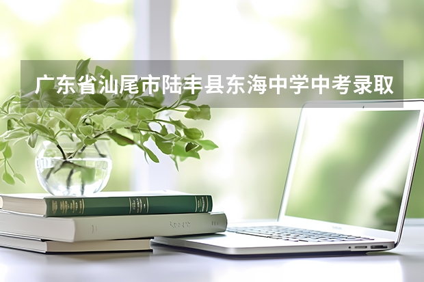 广东省汕尾市陆丰县东海中学中考录取分数线（陆丰市中考分数线陆丰市中考分数线）