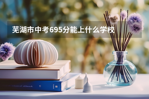 芜湖市中考695分能上什么学校
