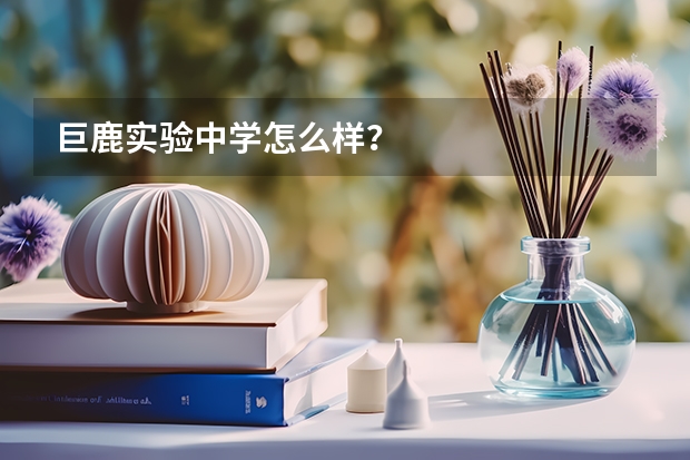 巨鹿实验中学怎么样？