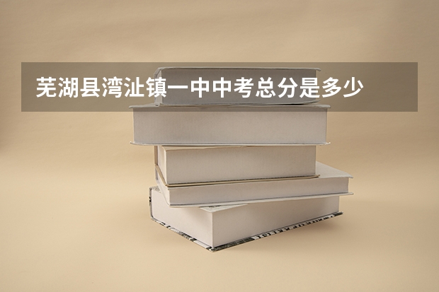 芜湖县湾沚镇一中中考总分是多少
