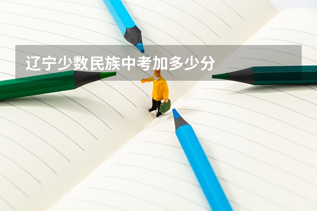 辽宁少数民族中考加多少分