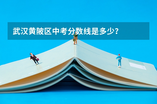 武汉黄陂区中考分数线是多少？