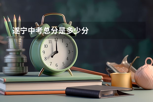 遂宁中考总分是多少分