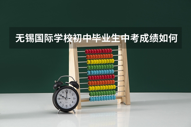 无锡国际学校初中毕业生中考成绩如何？