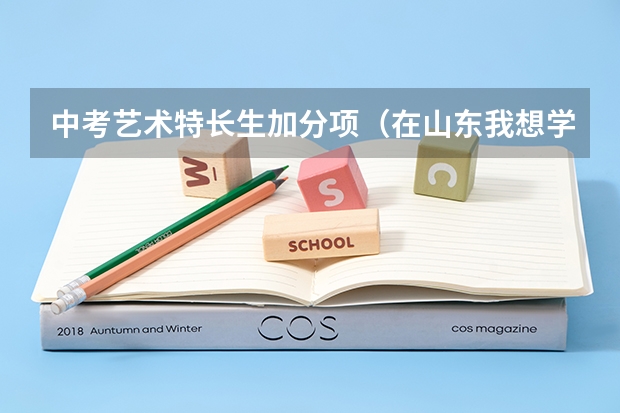 中考艺术特长生加分项（在山东我想学美术或书法或钢琴到中考是能不能加分？）