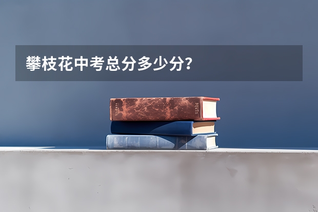 攀枝花中考总分多少分？