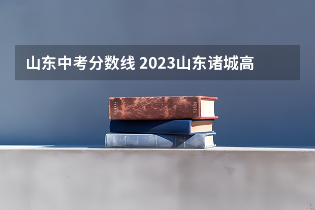 山东中考分数线 2023山东诸城高新中考成绩ABCDE等级划分？