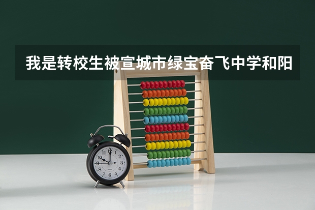 我是转校生被宣城市绿宝奋飞中学和阳光中学录取了,进奋飞要交6000元择校费,我该进哪个中学