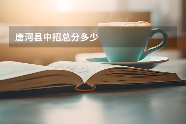 唐河县中招总分多少