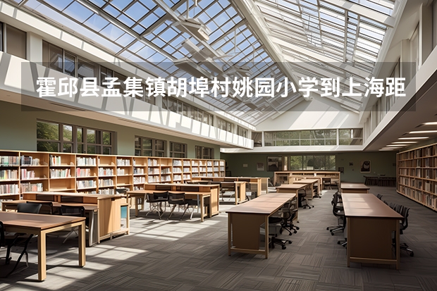霍邱县孟集镇胡埠村姚园小学到上海距离多少千米