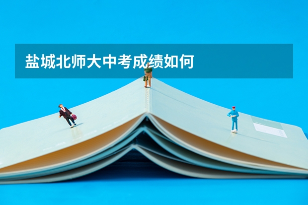盐城北师大中考成绩如何