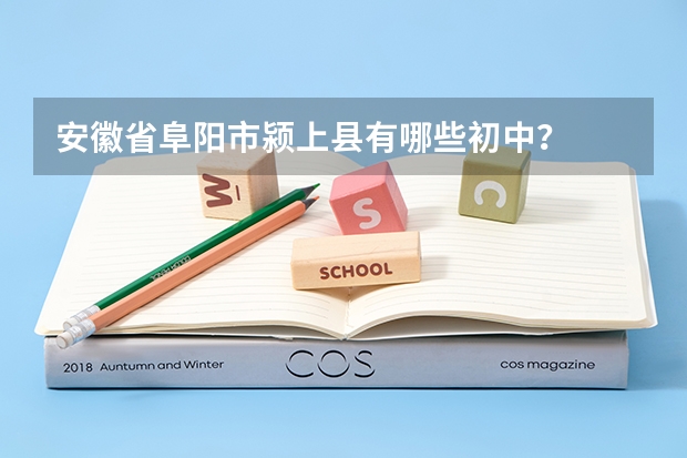安徽省阜阳市颍上县有哪些初中?