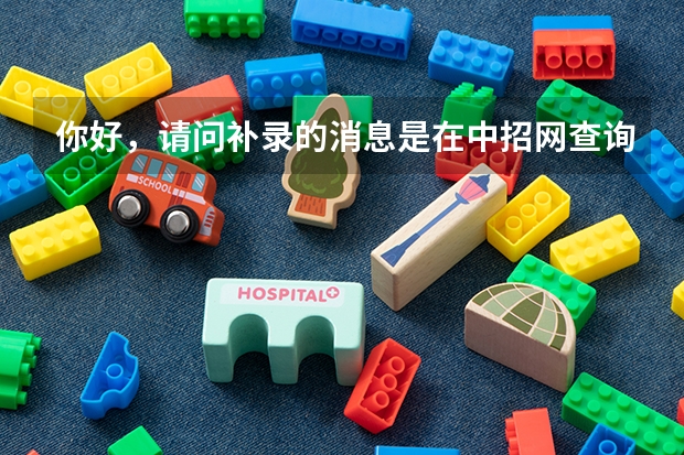 你好，请问补录的消息是在中招网查询吗？
