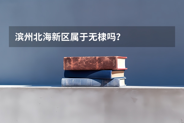滨州北海新区属于无棣吗？