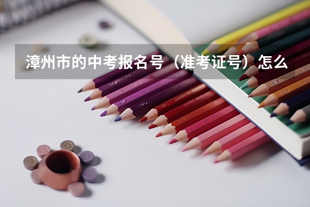 漳州市的中考报名号（准考证号）怎么查询？