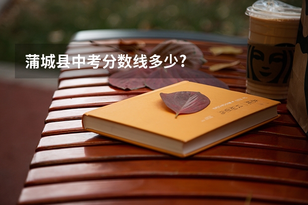 蒲城县中考分数线多少?