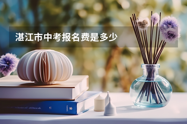 湛江市中考报名费是多少