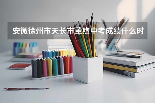 安微徐州市天长市董煦中考成绩什么时候出来