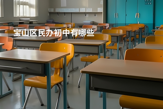 宝山区民办初中有哪些