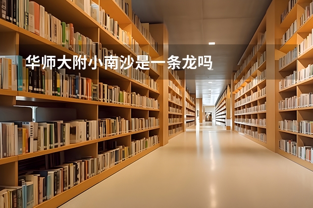 华师大附小南沙是一条龙吗