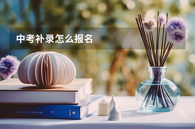 中考补录怎么报名