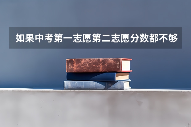 如果中考第一志愿第二志愿分数都不够.该怎么办