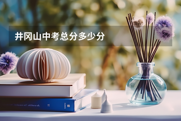 井冈山中考总分多少分