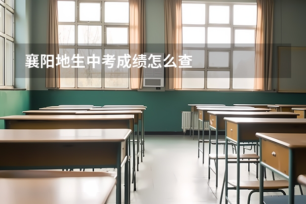 襄阳地生中考成绩怎么查