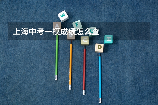 上海中考一模成绩怎么查