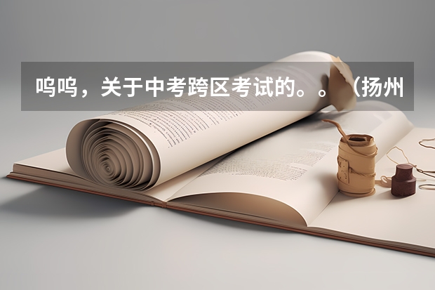 呜呜，关于中考跨区考试的。。（扬州润扬中学中考录取情况及在整个扬州地区中考排名）