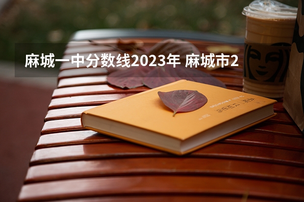 麻城一中分数线2023年 麻城市2o16年中考招生方案