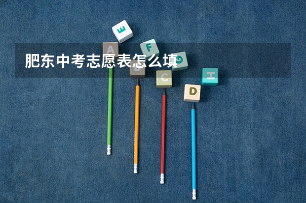 肥东中考志愿表怎么填