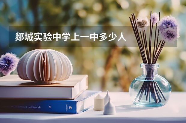 郯城实验中学上一中多少人