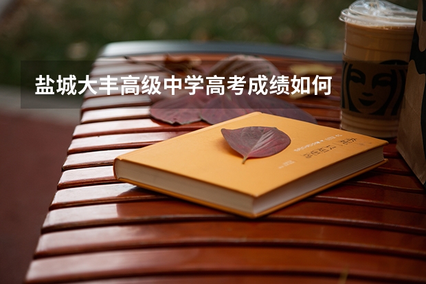 盐城大丰高级中学高考成绩如何