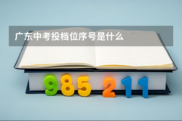 广东中考投档位序号是什么