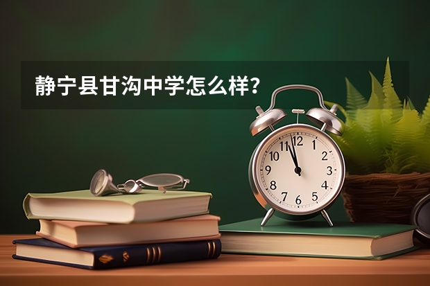 静宁县甘沟中学怎么样？