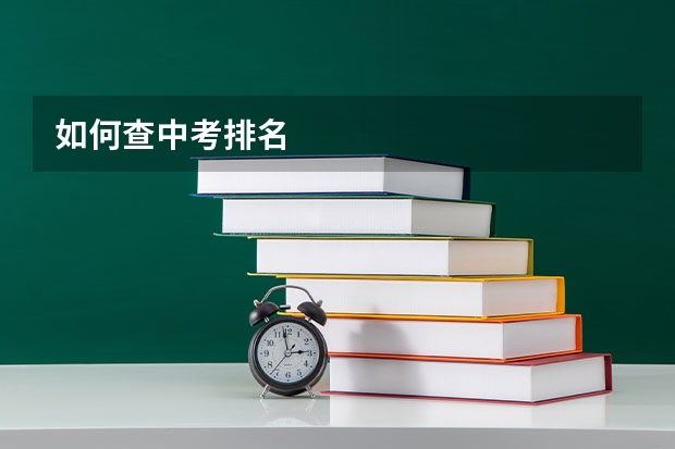 如何查中考排名