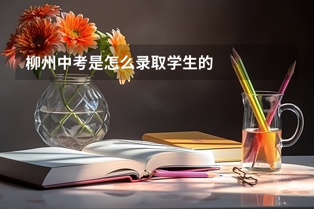 柳州中考是怎么录取学生的