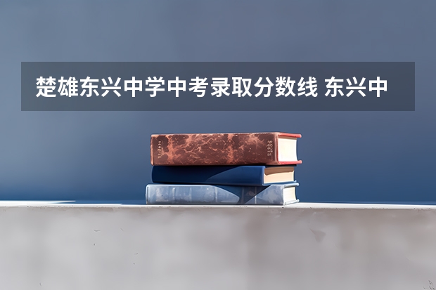 楚雄东兴中学中考录取分数线 东兴中学分数线