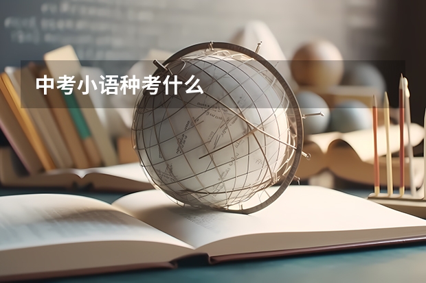 中考小语种考什么