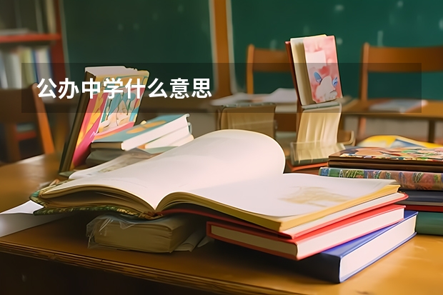 公办中学什么意思