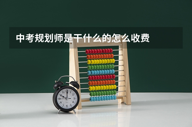 中考规划师是干什么的怎么收费