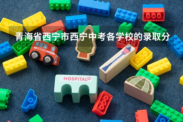 青海省西宁市西宁中考各学校的录取分数线（08,09西宁中考分数线）