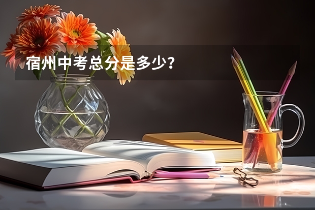 宿州中考总分是多少？