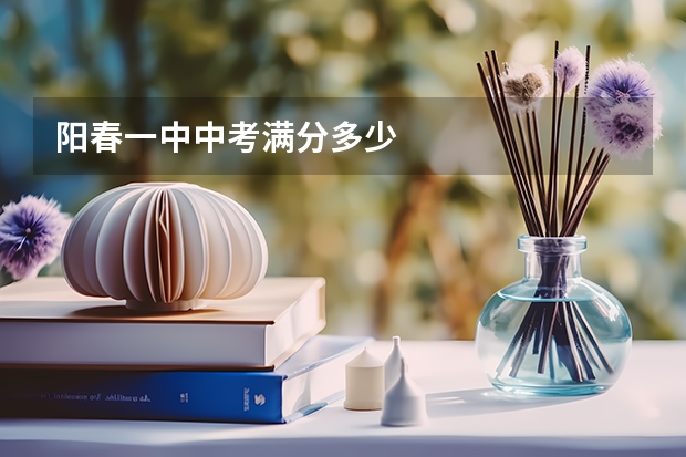 阳春一中中考满分多少