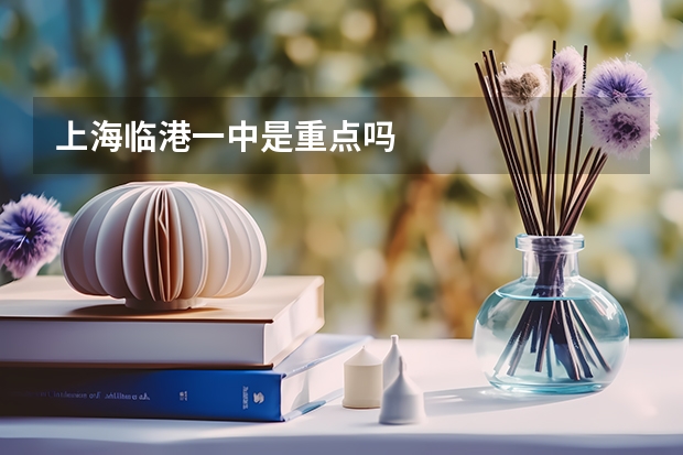 上海临港一中是重点吗