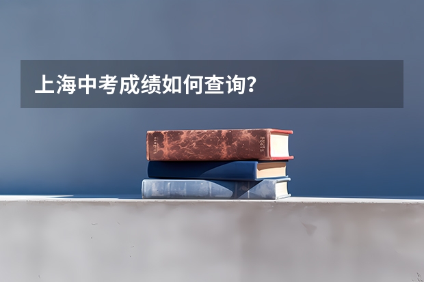上海中考成绩如何查询？