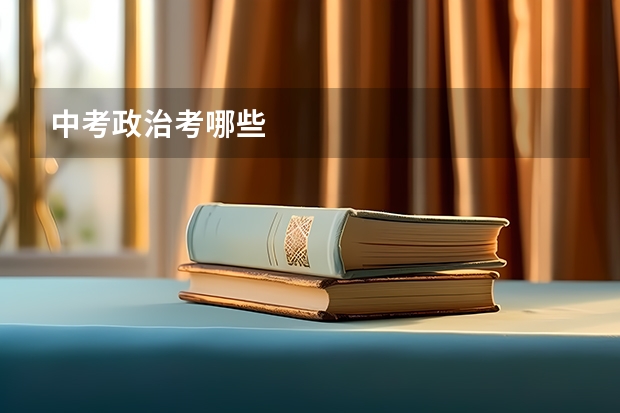 中考政治考哪些