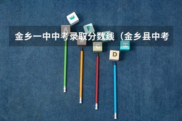 金乡一中中考录取分数线（金乡县中考成绩查询时间）