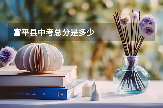 富平县中考总分是多少